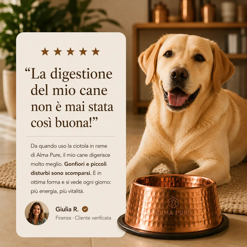 Guau&Grr® | Comedero Artesanal de Cobre Puro “CopperPure”