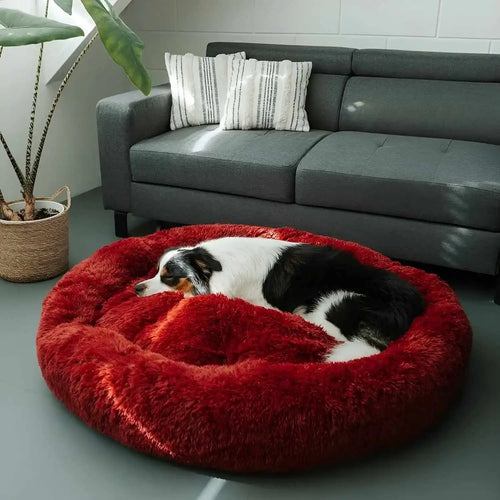 Guau&Grr® | Cama Antiansiedad Relajante “Cloud”