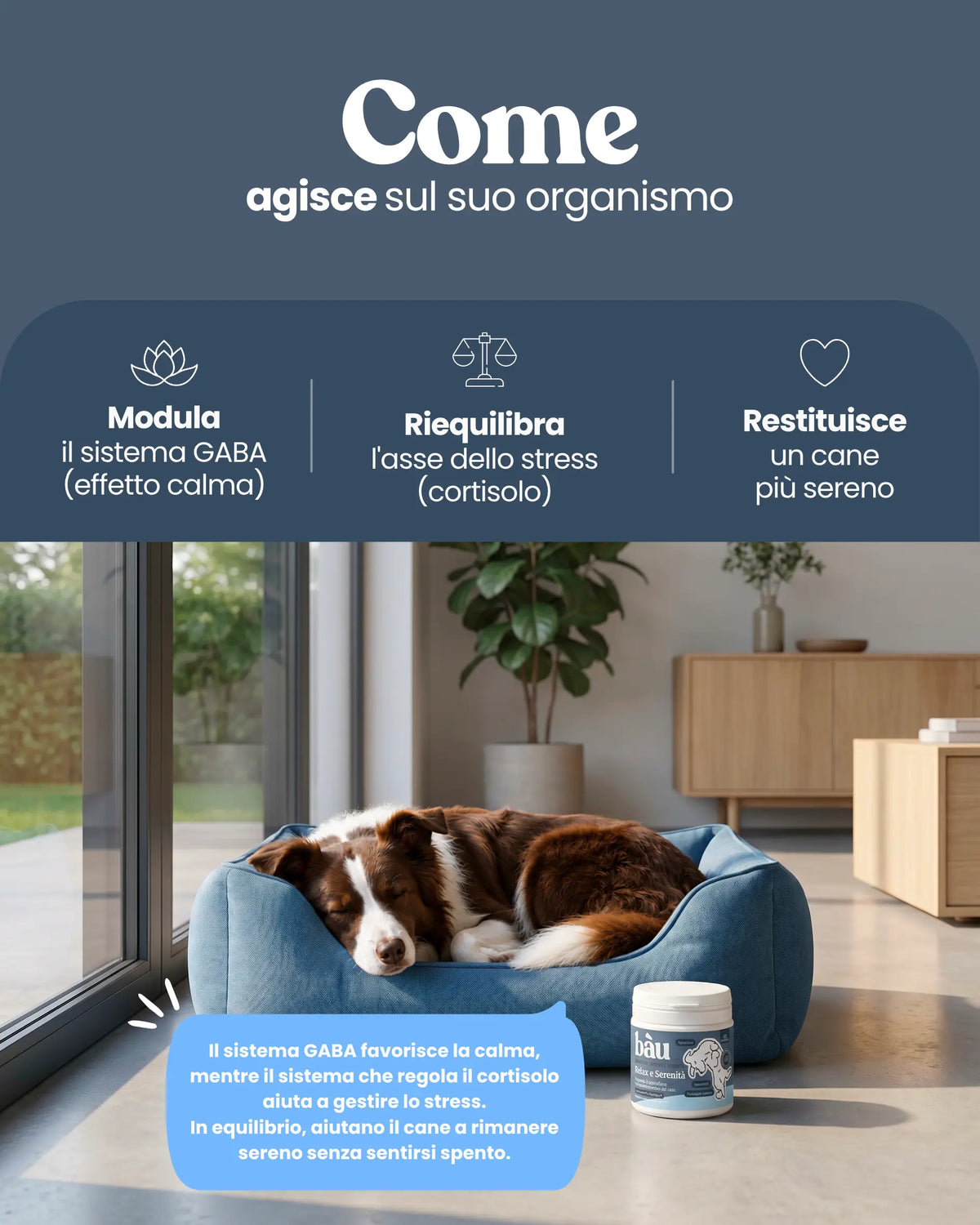 Guau&Grr® | Suplemento Calmante “Relax & Serenidad”