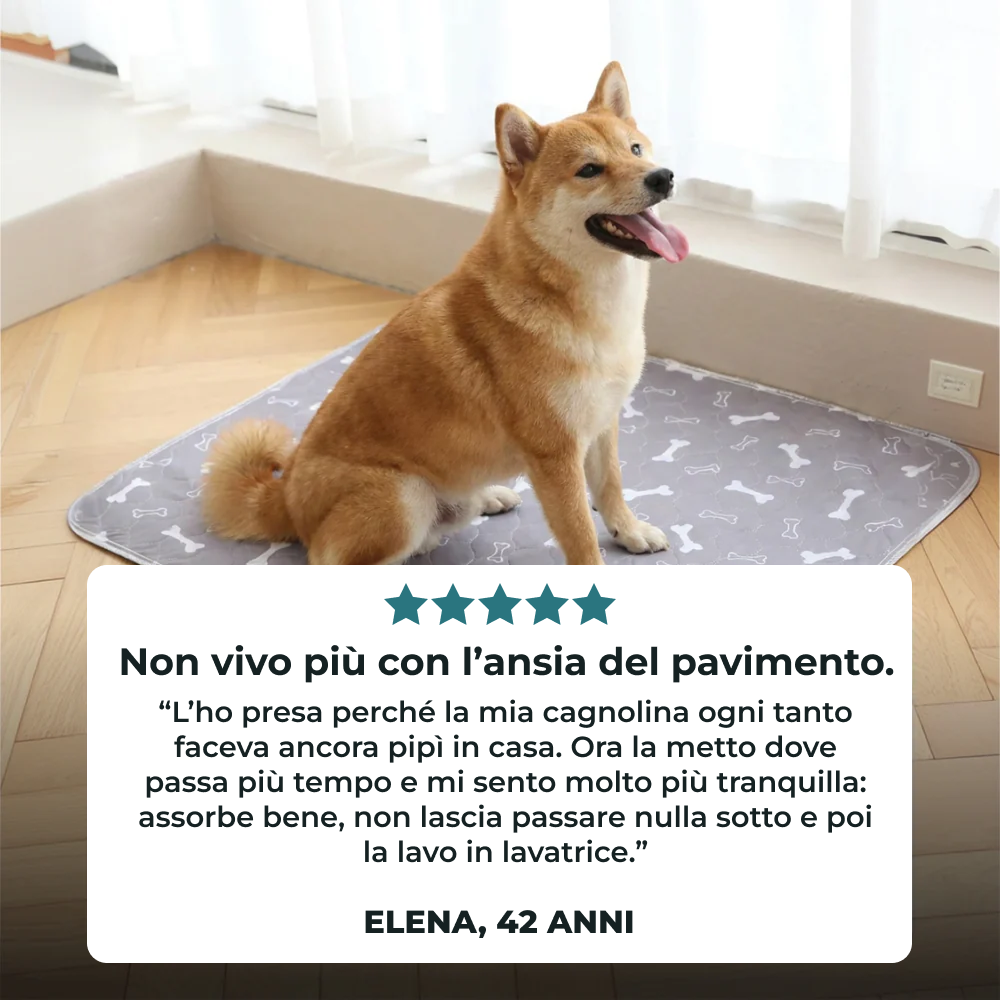 Guau&Grr® | Empapadador Lavable Absorbente “EcoPee”