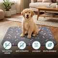 Guau&Grr® | Empapadador Lavable Absorbente “EcoPee”