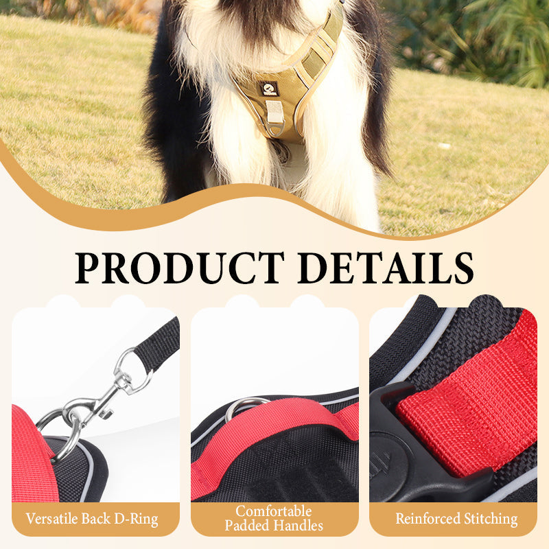 Guau&Grr® | Arnés Antitirones con Correa y Collar LED "No Pull"